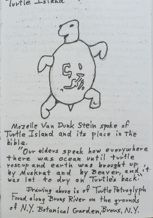 Journal drawing of Turtle Island, from Dr. Stead's field journals