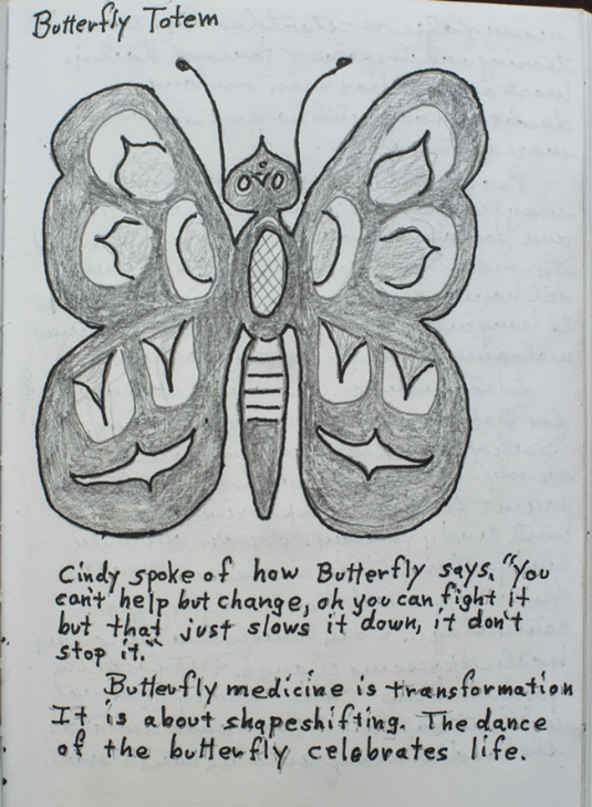 Journal drawing of butterfly, from Dr. Stead's field journals