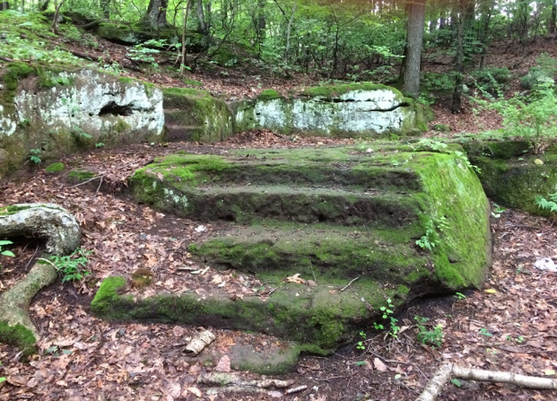 Carved steps at Dutch Quarry, Monsey Glen