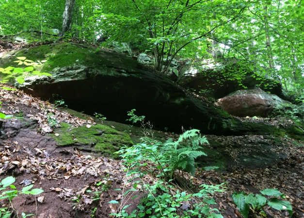 Munsi Rockshelter, Monsey Glen