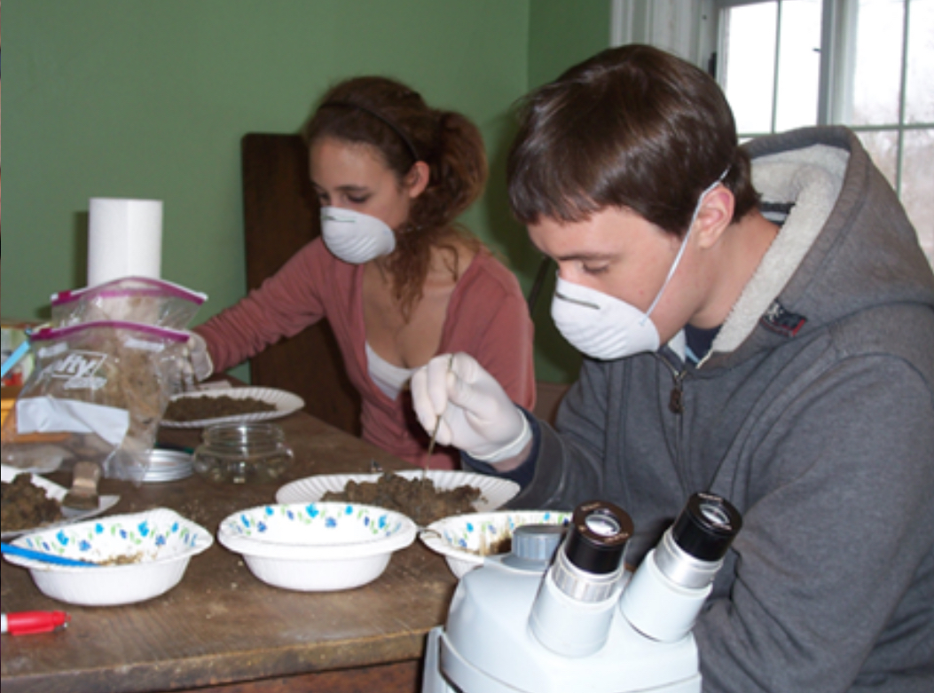 Laboratory study of soil