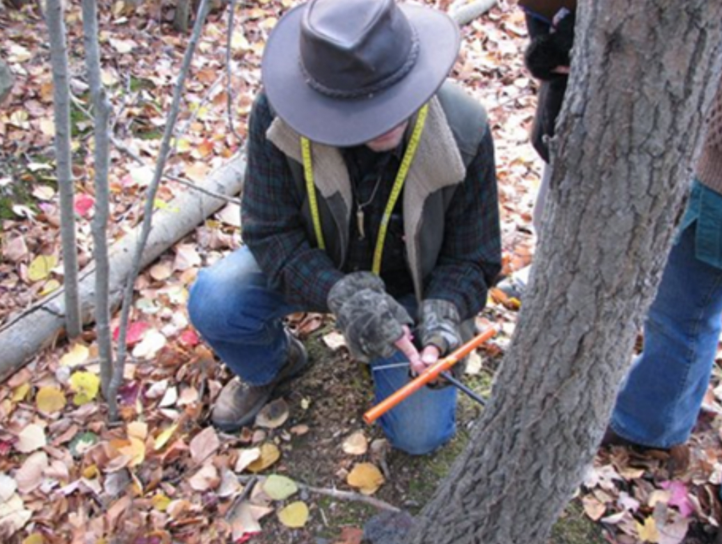 Dr. Stead coring tree rings