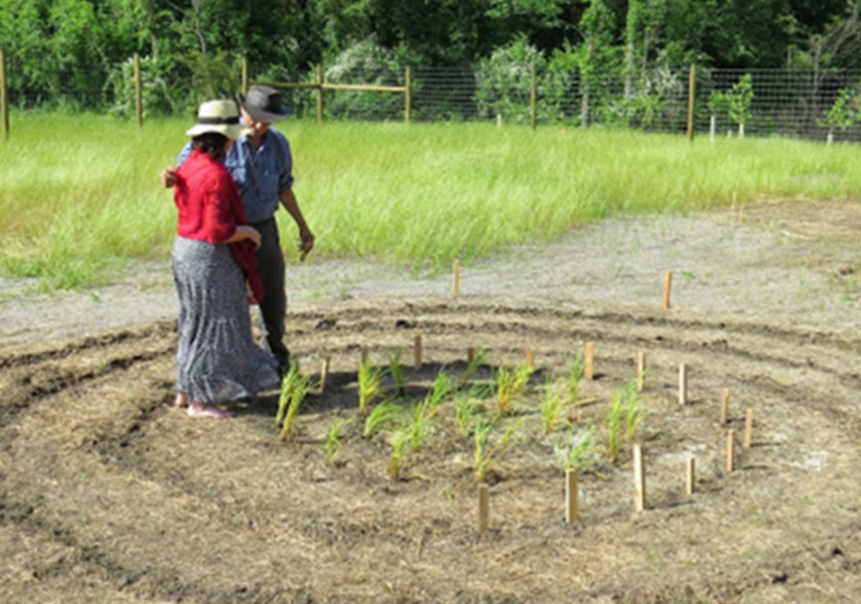Planting with wife Kat at Medicine Garden, 2014.