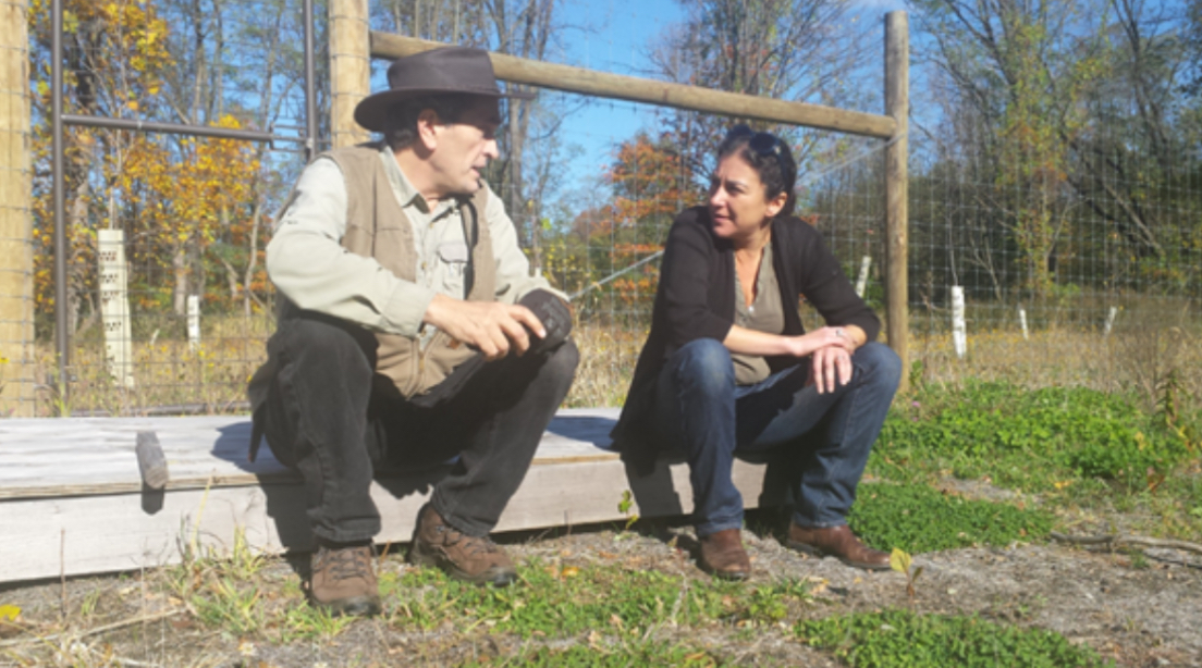Working with ethnobotanist Daniel Shebitz at Medicine Garden, 2016.